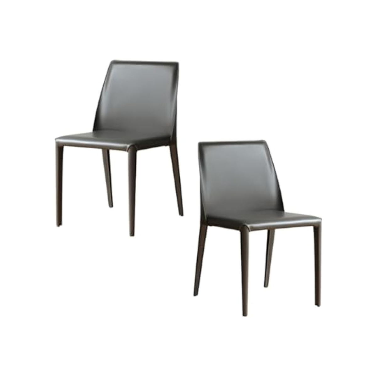 Simple Iron Lounge Black Chair Mid-century Modern Dining Chair (2PCS)